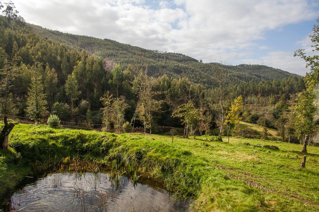Casa De Campo "Quinta Do Cadafaz" Alvarenga Exteriör bild