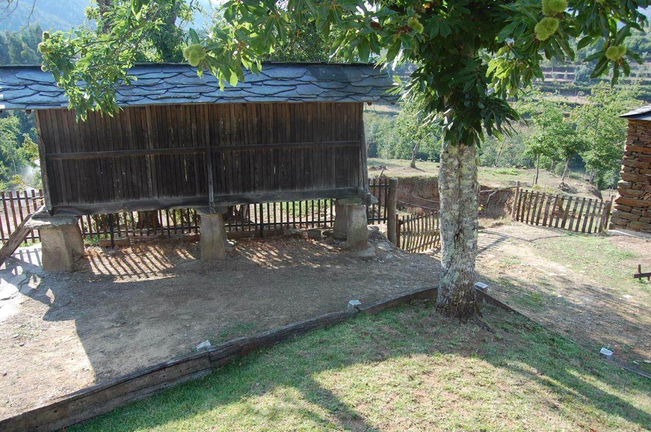 Casa De Campo "Quinta Do Cadafaz" Alvarenga Exteriör bild